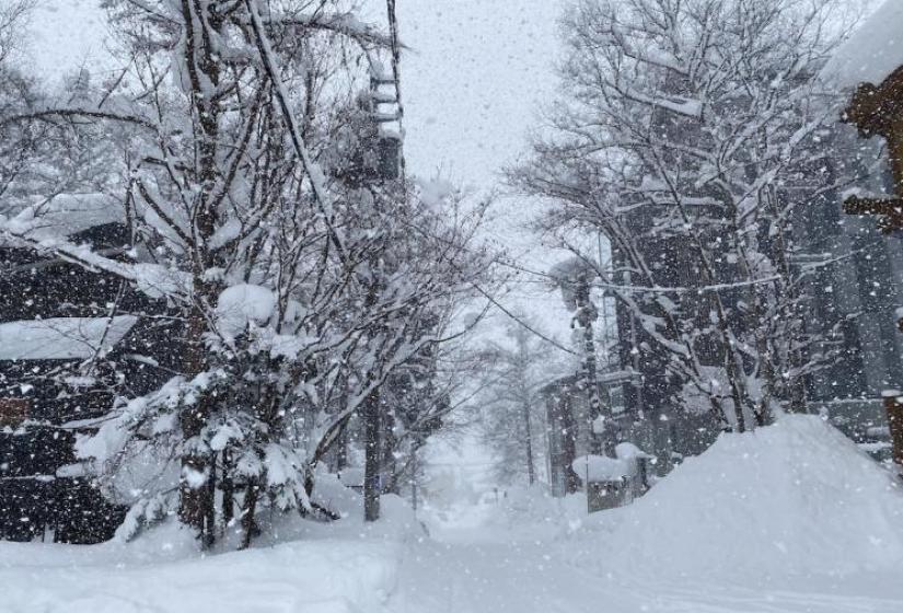 Heavy snow blanketing trees and a narrow street