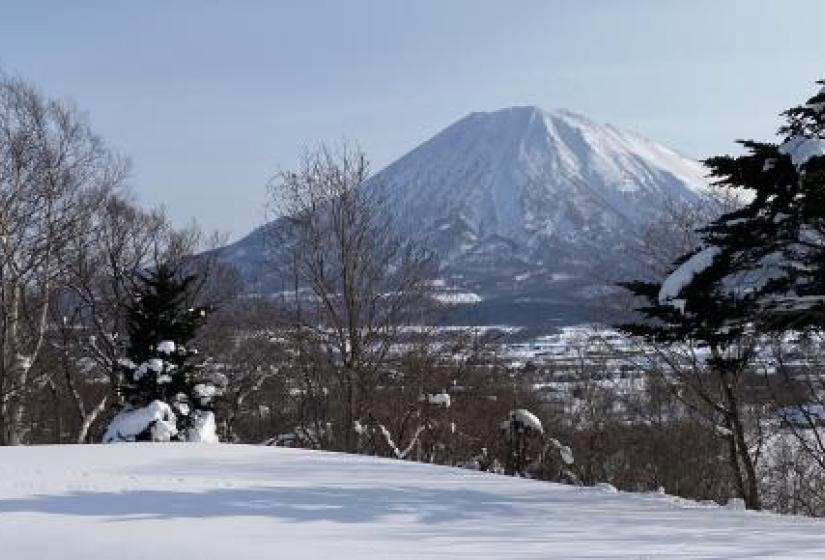 Mount Yotei with snowy trees in the forground