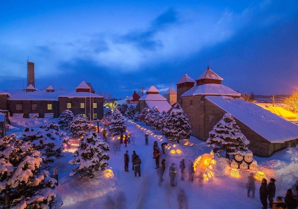 Buildings and trees lit up at night covered in snow