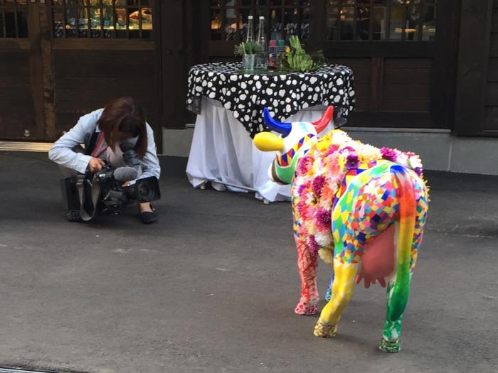 cow-parade-niseko.jpg