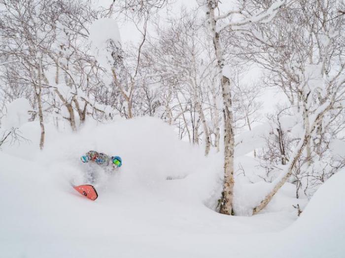 A snowboarder makes a deep turn in the tress