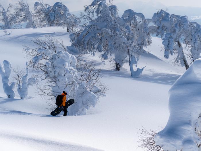 A snowboarder walks through snow trees