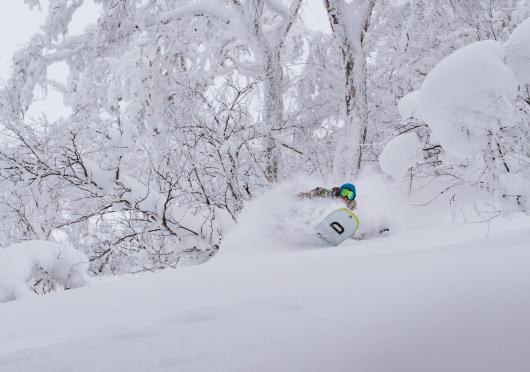 A snowboarder makes a deep turn surrounded by snow covered trees