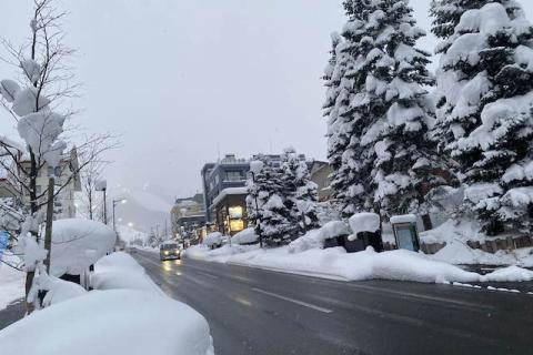 A road lined with snow and large trees to the right