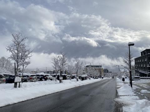 A street lined with snow