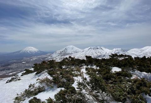 Snow capped peaks with foliage in forground