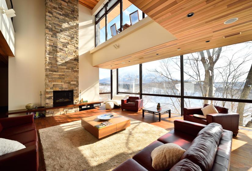 living area with fireplace and couches