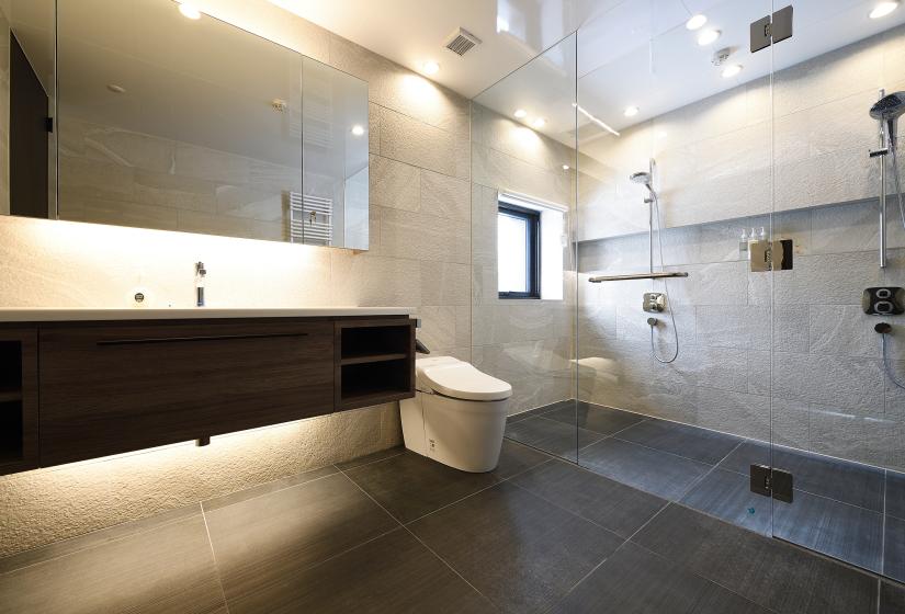 bathroom with toilet shower sink, and mirror