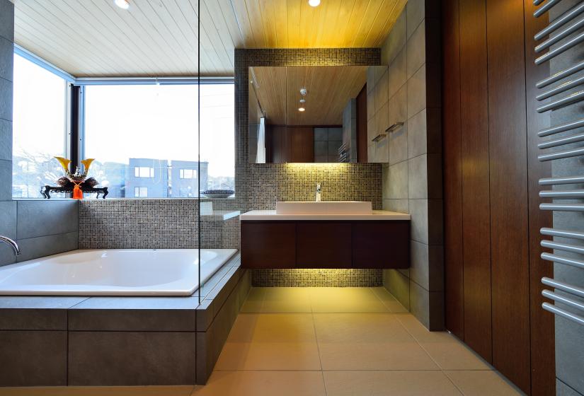 bathroom sink with tub and window