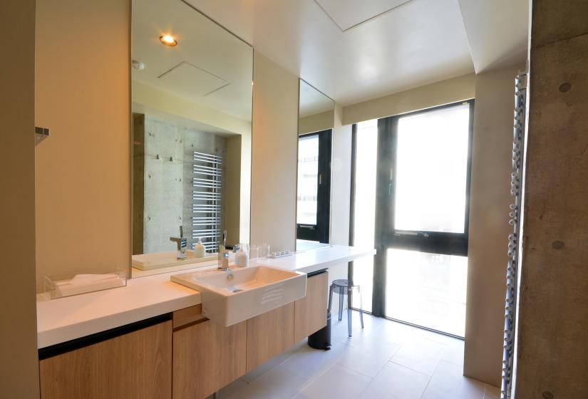 Apartment 301 bathroom with sink and mirror