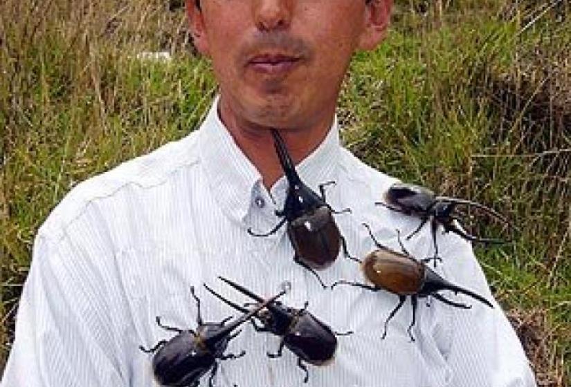 Big beetle fan How did you guess I was a fan of the beetles?