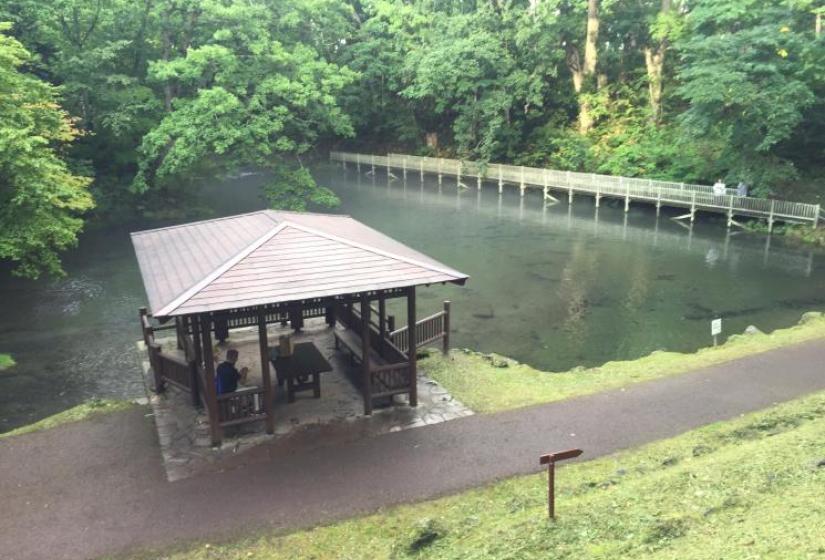 Lush green surrounds and still waters a pergola beside a small lake