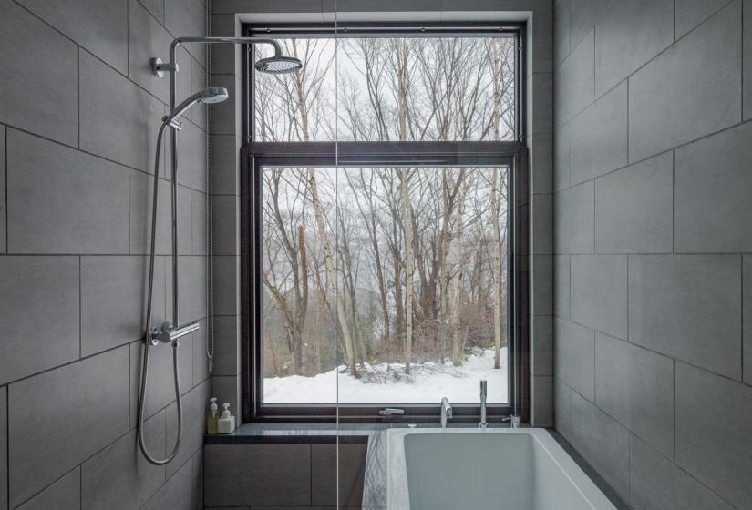 bath tub with shower and large window