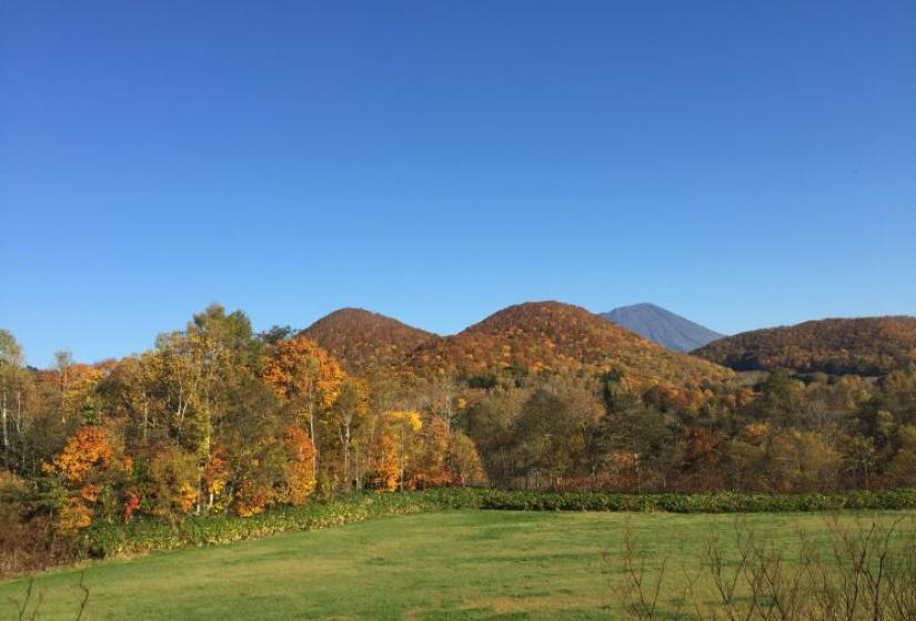Niseko's stunning landscape The Niseko landscape in autumn colurs
