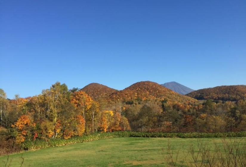 The Niseko landscape in autumn colurs