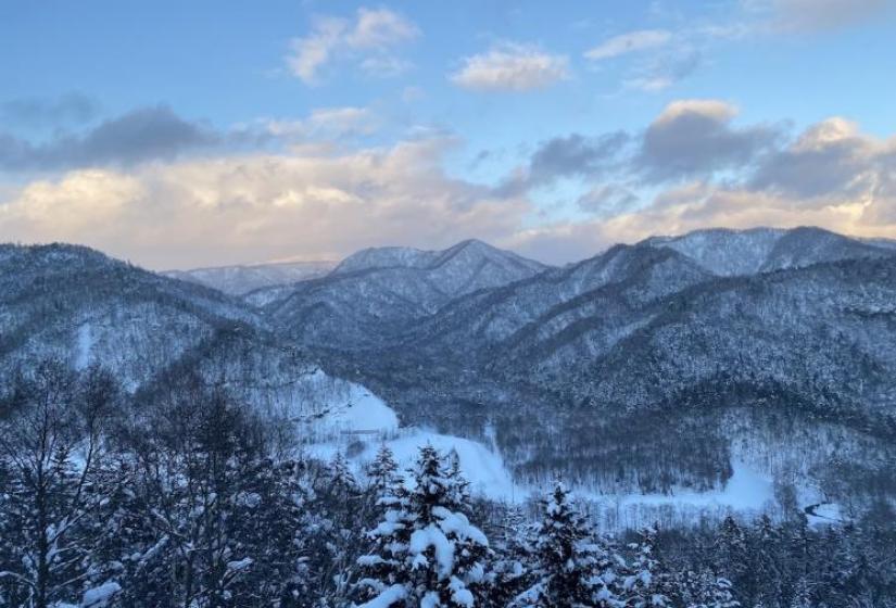 a colourful cloudy sky behind snowy treed hills