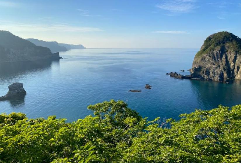 Green foliage frames a sea view