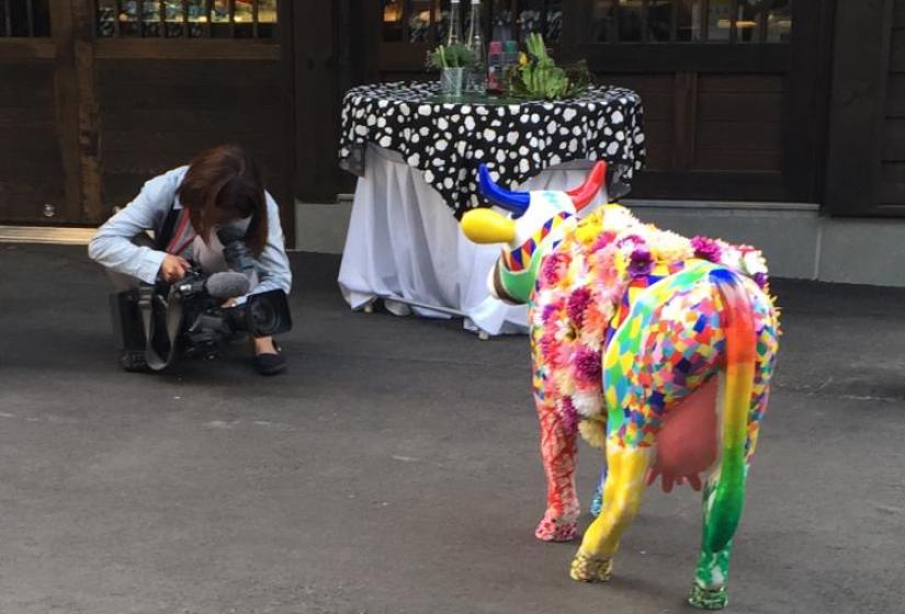 cow-parade-niseko.jpg cow-parade-niseko.jpg