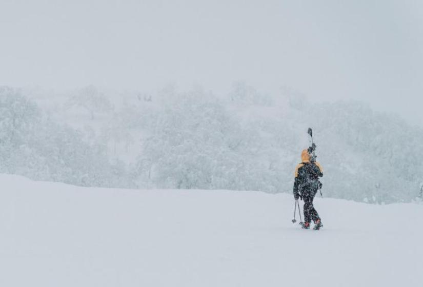 A skier looks across snowy trees