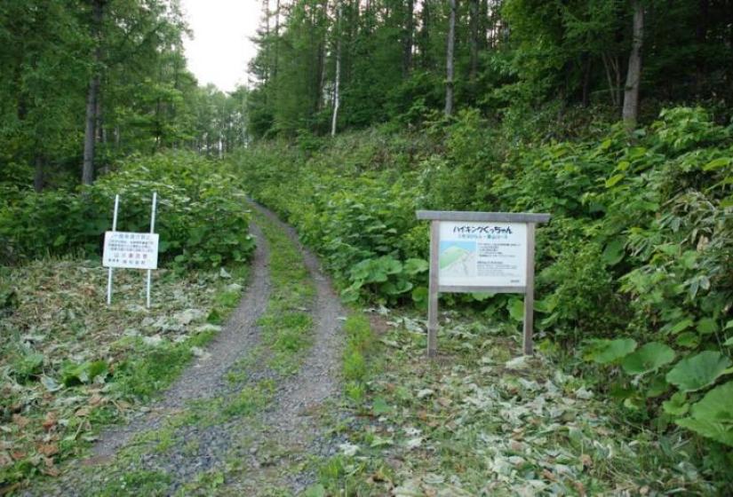 Gravel road leading to hiking course start point Gravel road leading to hiking course start point
