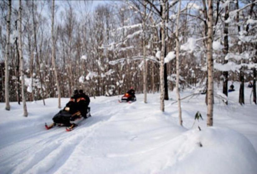 Forest trail snowmobiling