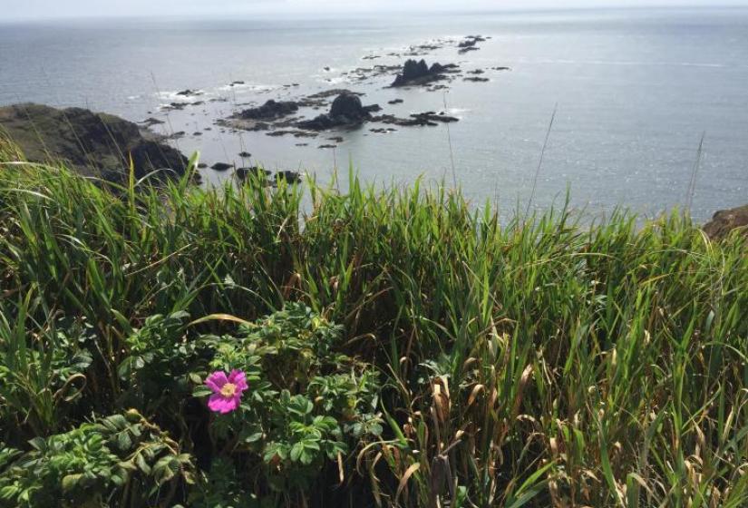 Rocky islands extend into the sea