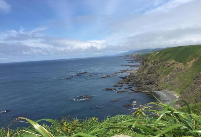 The blue of the pacific ocean against wind swept cliffs