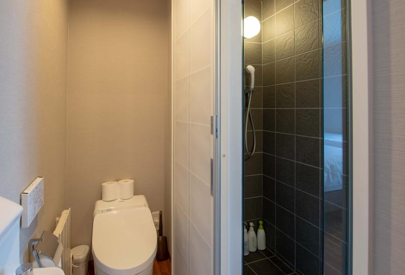 Toilet with shower beside it