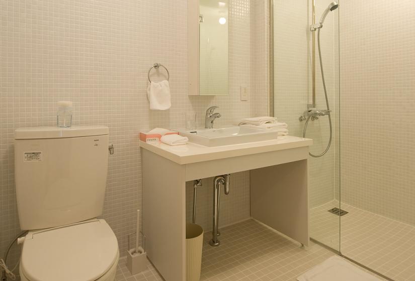 Toilet, shower and basin area