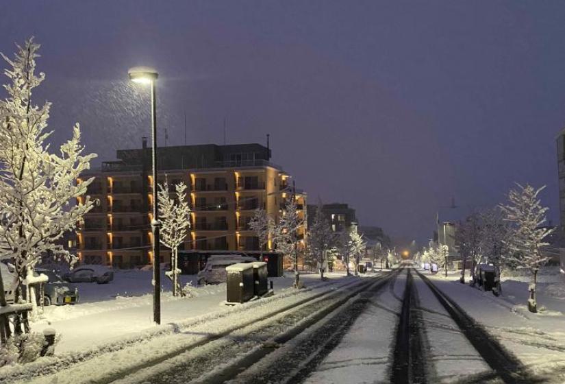 A snowy road at night with snow covered trees lining the sidewalk