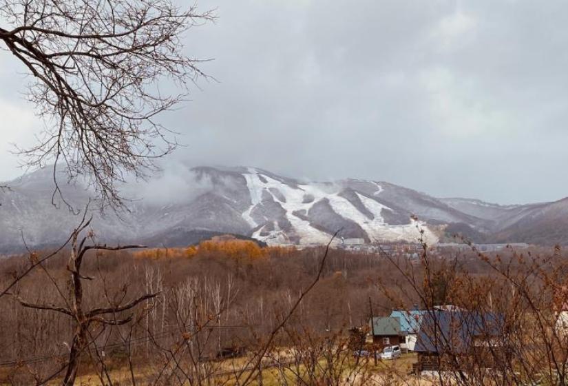 Winter arrives in Hirafu Autumn coloured trees with snow hills in the back ground
