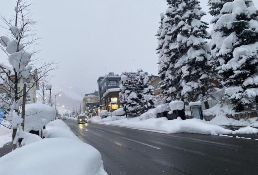 Hirafu Zakka with street lights on and snow lining the road. 