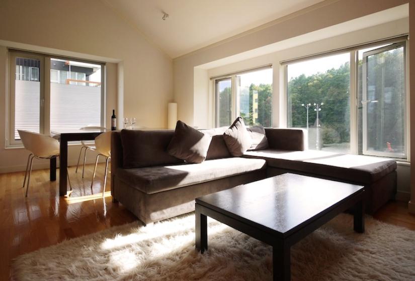 sunlight from the living area window illuminates the sofa