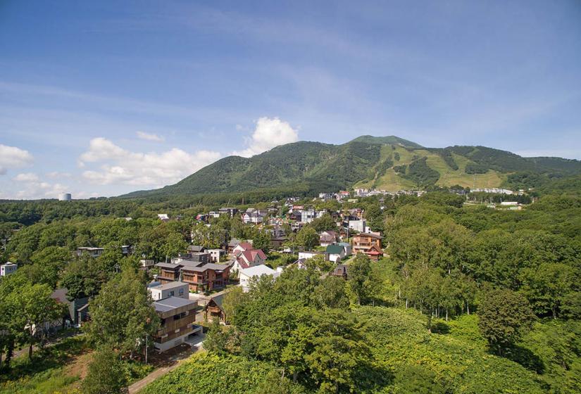 aerial view of hirafu neighbourhood in summer
