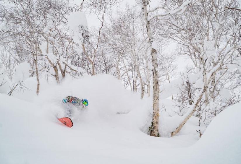 powder 2020! A snowboarder makes a deep turn in the tress
