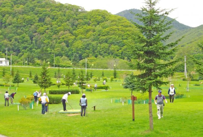 A Typical Park Golf Course A Typical Park Golf Course