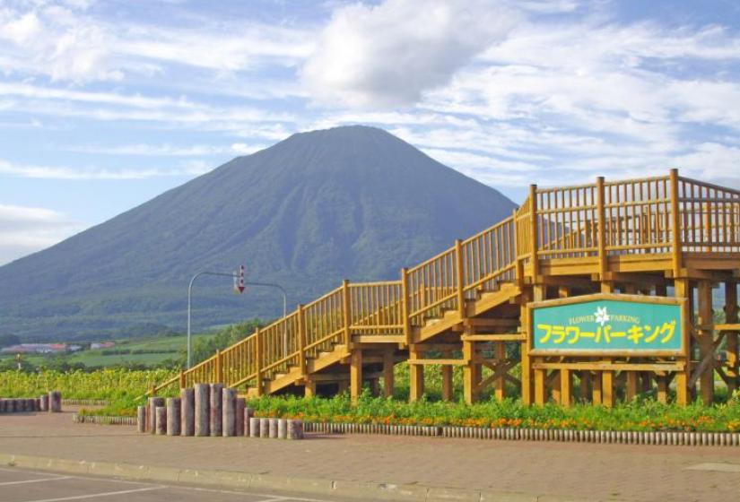 Makkari Yotei View Makkari Yotei View