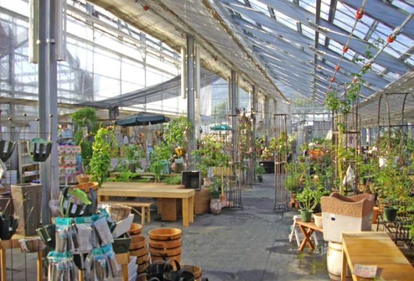 Makkari Flower Center Makkari Flower Center