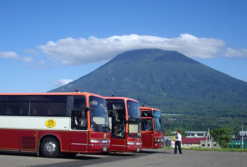 A common summer sight, school bus groups