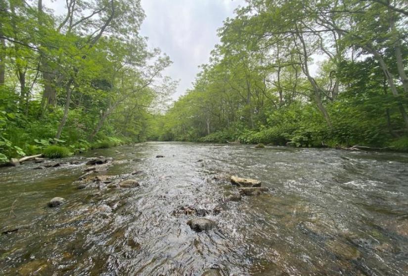 Fantastic Hokkaido scenery A river runs between green trees