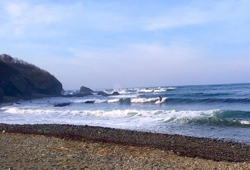 A surfer rides a small wave