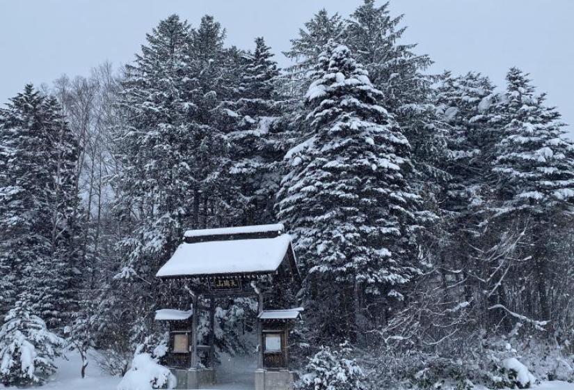 A Tori gate surrounded by snowy trees