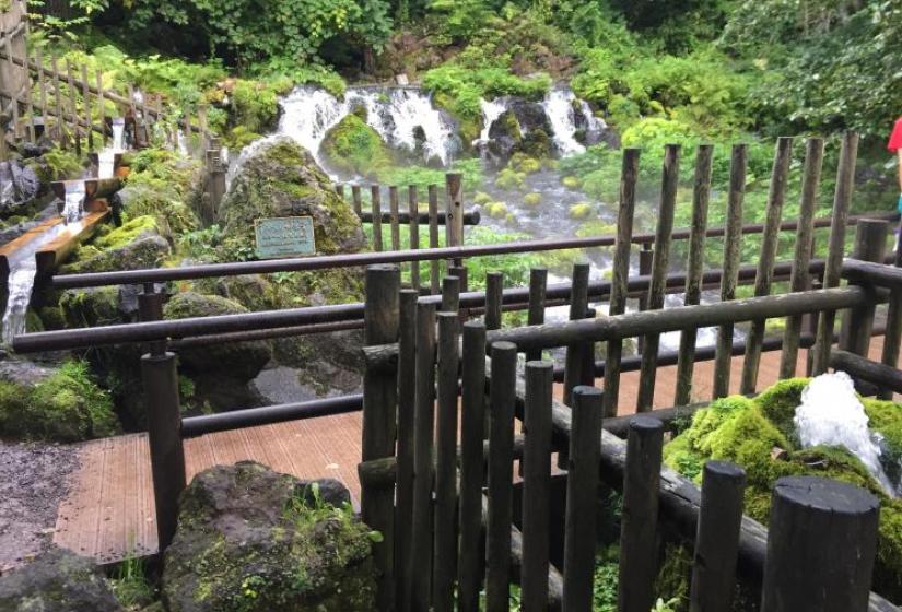 Clean crisp spring water A waterfall with green moss and stakes in foreground