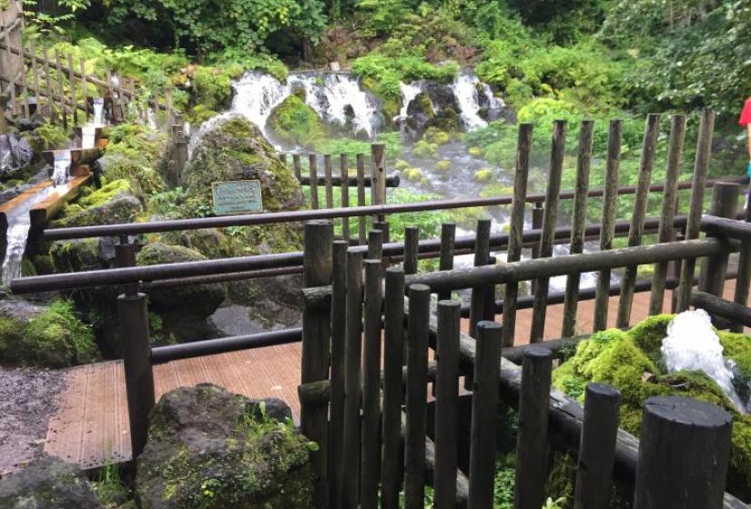 A waterfall with green moss and stakes in foreground