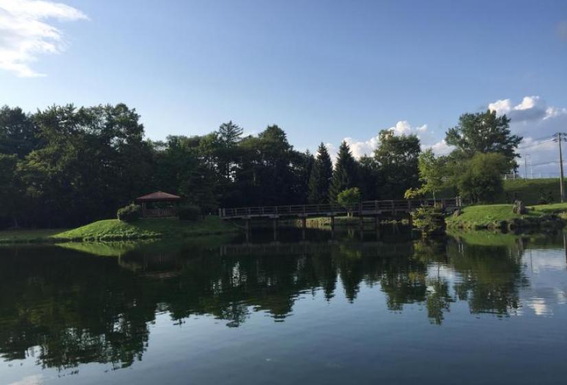 A small man made lake wit trees and grass verge