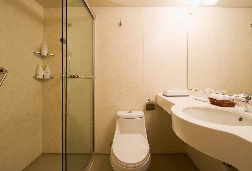 en-suite bathroom with walk-in shower