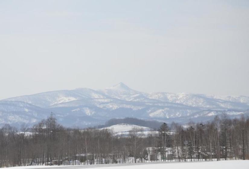 Mount Konbu with bare trees and snow in the foreground