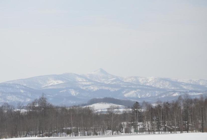 Mount Konbu or Konbu Dake Mount Konbu with bare trees and snow in the foreground