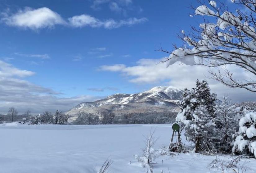 Mt Annupuri from a distance with snowy trees in the foreground