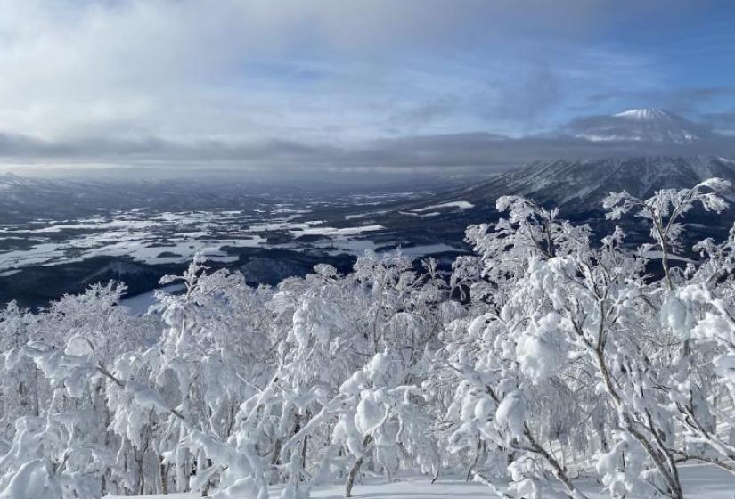 All going well we will be delivering you to scenes like these in just a few months. Snow caked trees with Mount Yotei in the background
